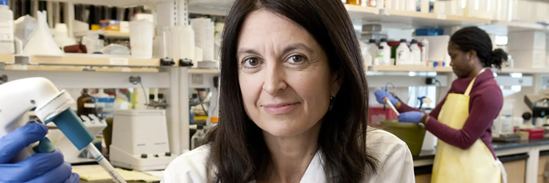 University of Chicago Medicine cancer research scientists, Zaccone Family Foundation